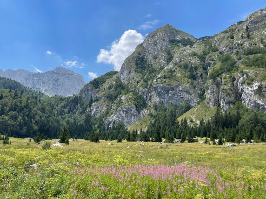 Bosnië-Herzegovina – Sutjeska Nationaal Park 2 – Prijevor&nbsp;🇧🇦